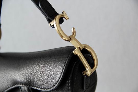 Dior Saddle 6816mini 12X7.5x5cm wo_6